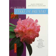 Plantes de terre de bruyere